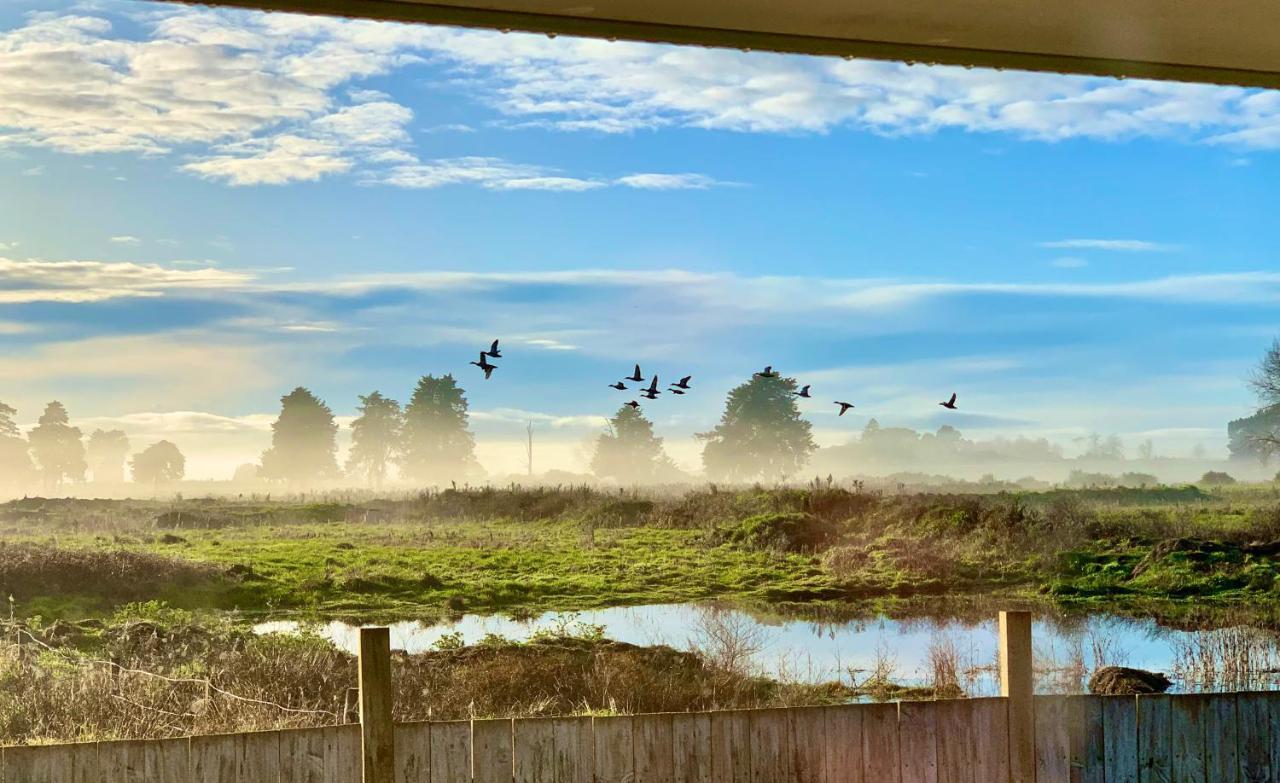 Radiata Homestay Hamilton Eksteriør billede